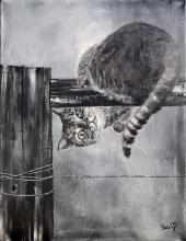 L'equilibrista