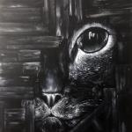 Il gatto nascosto