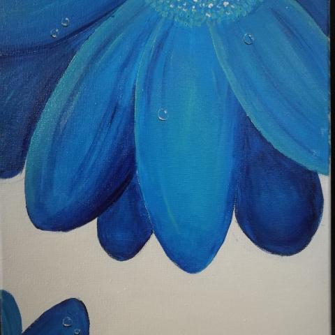 Fiori blu con gocce di rugiada
