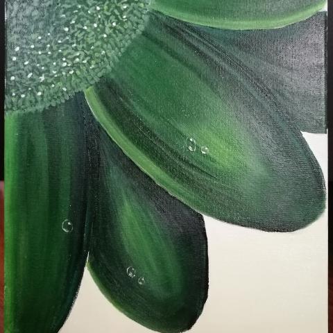 Fiore verde con gocce di rugiada
