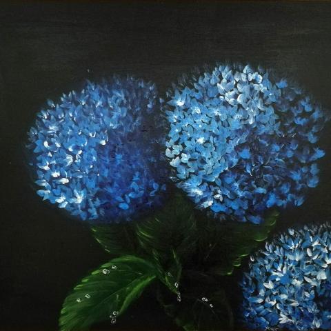 Ortensie blu su nero