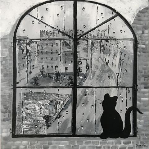 Gatto curioso su Piazza de Cristoforis