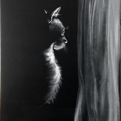 Gatto malinconico alla finestra