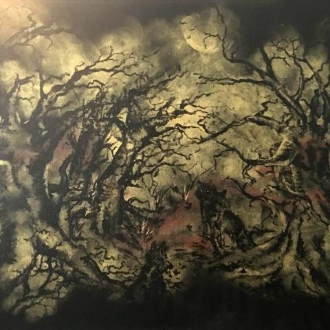 Lupi nel bosco
