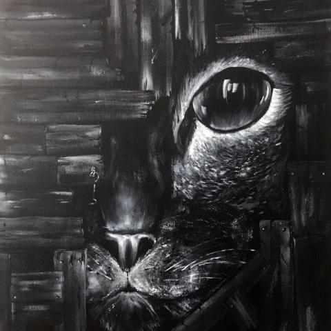 Il gatto nascosto