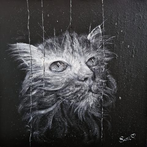 Il gatto triste