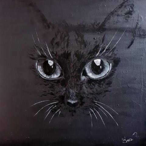 Il gatto nero