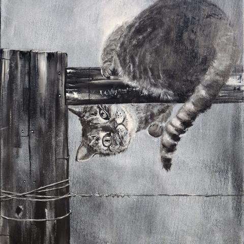 L'equilibrista