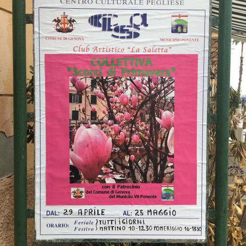 Scorci di Primavera - La Saletta