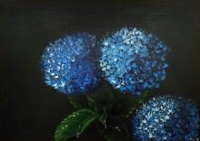 Ortensie blu su nero