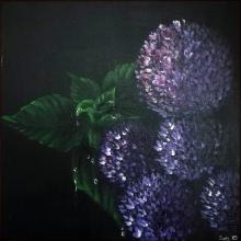 Ortensie viola su nero