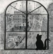 Gatto curioso su Piazza de Cristoforis