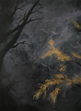 Il bosco dorato sx