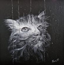 Il gatto triste