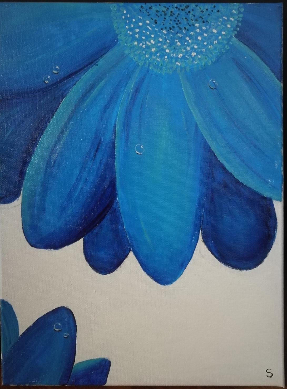 Fiori blu con gocce di rugiada