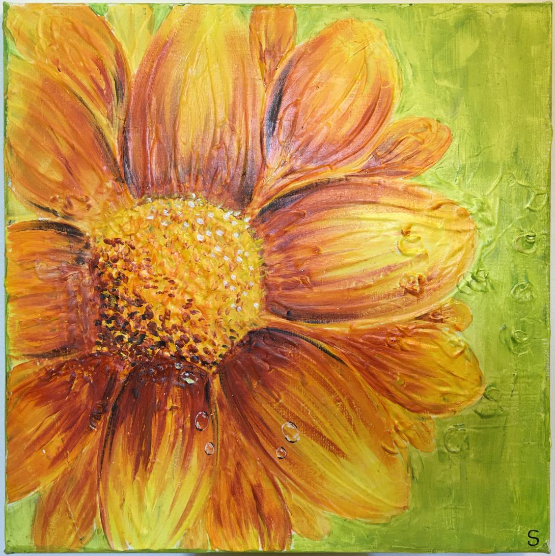 Fiore arancio con gocce di rugiada