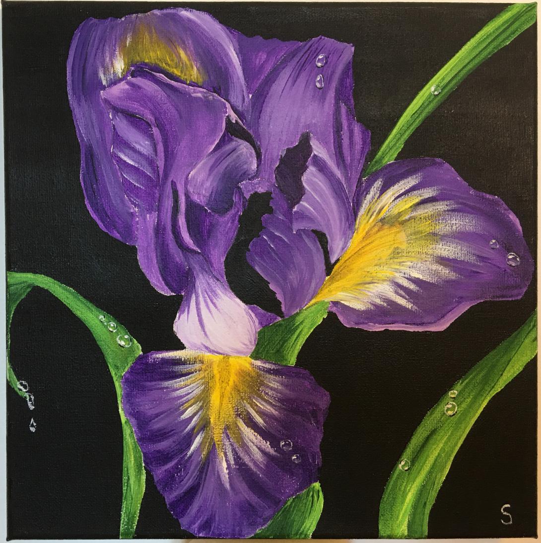 Iris su sfondo nero