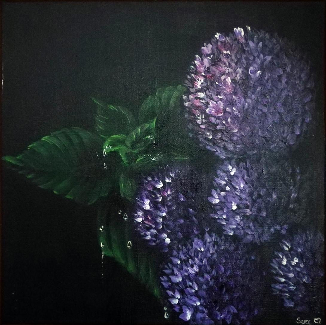 Ortensie viola su nero