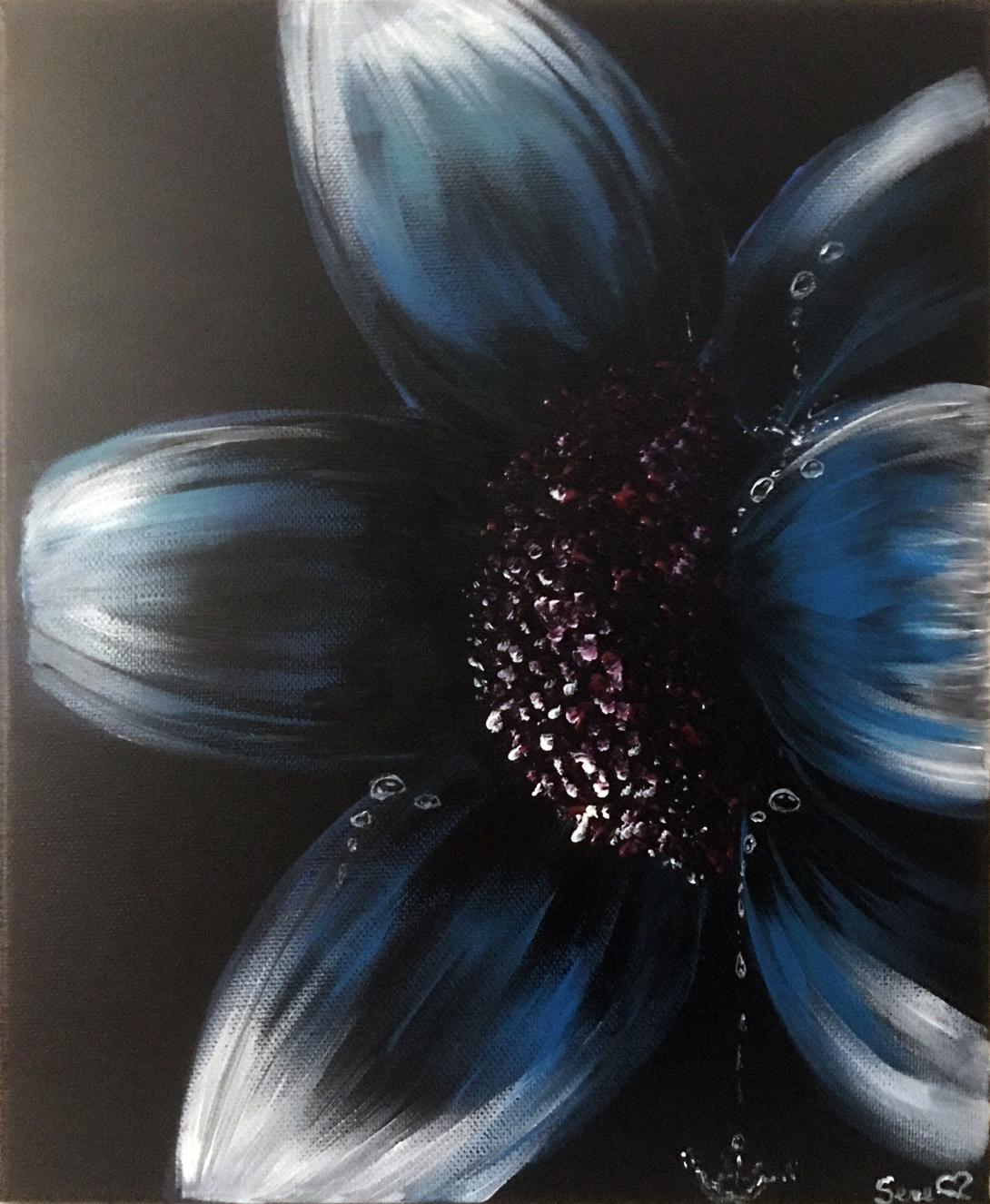 Fiore blu nell'ombra