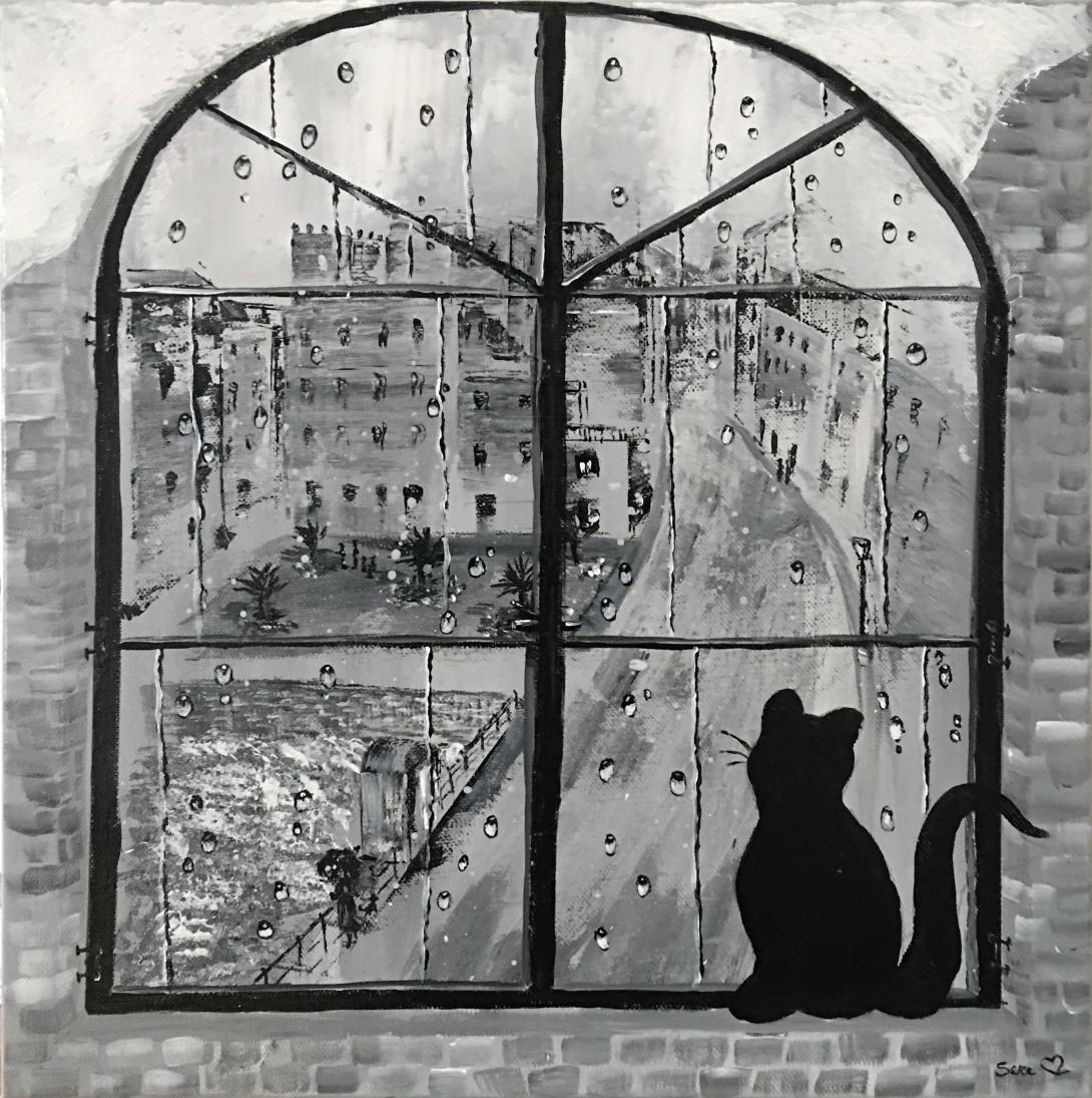 Gatto curioso su Piazza de Cristoforis