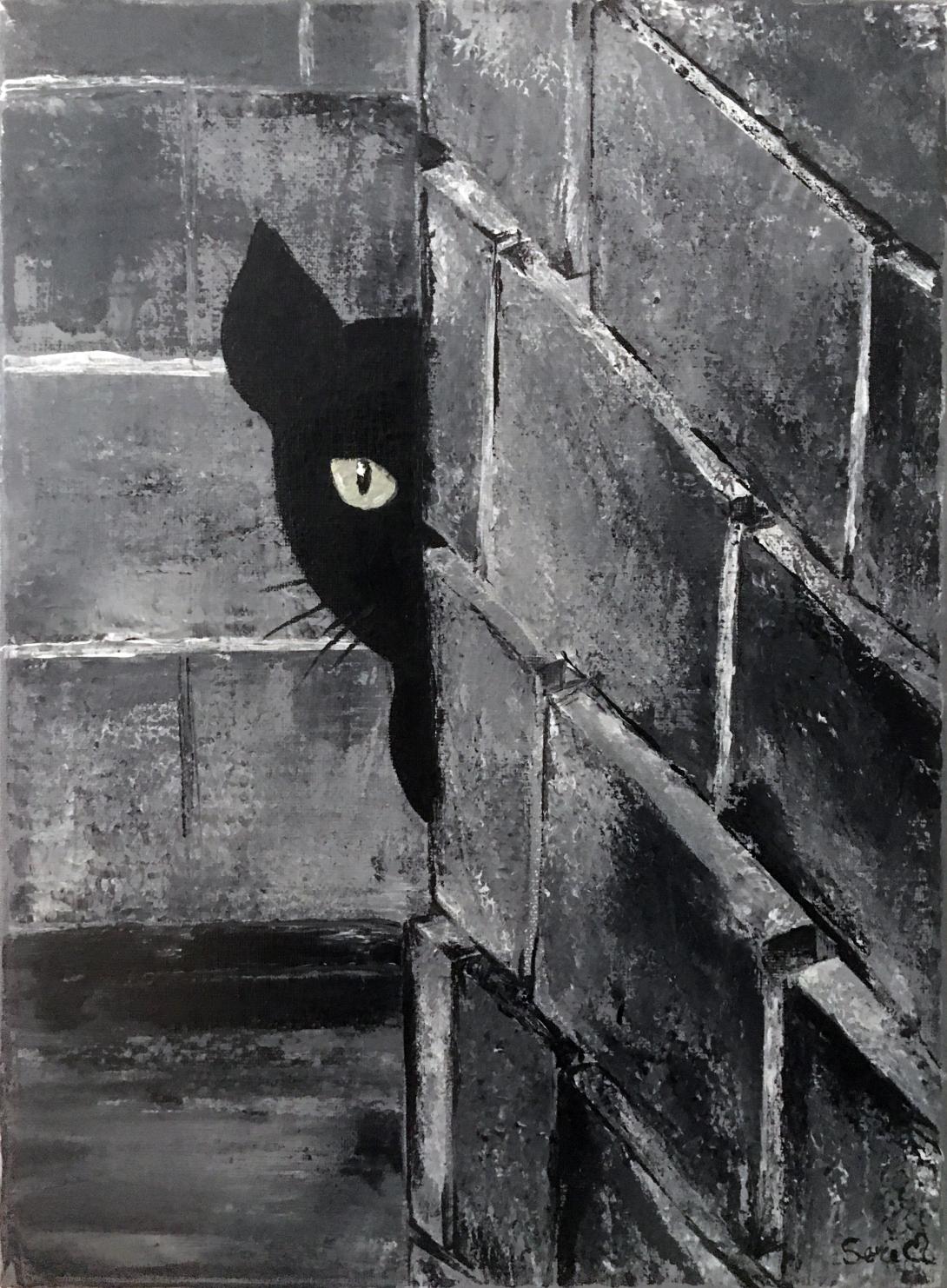 Gatto curioso