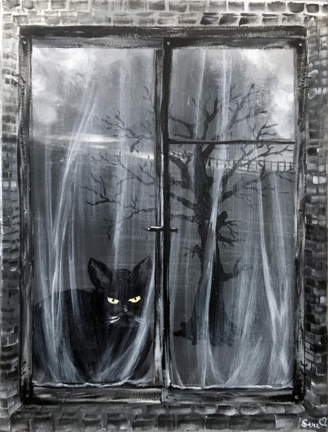 Il gatto sul davanzale