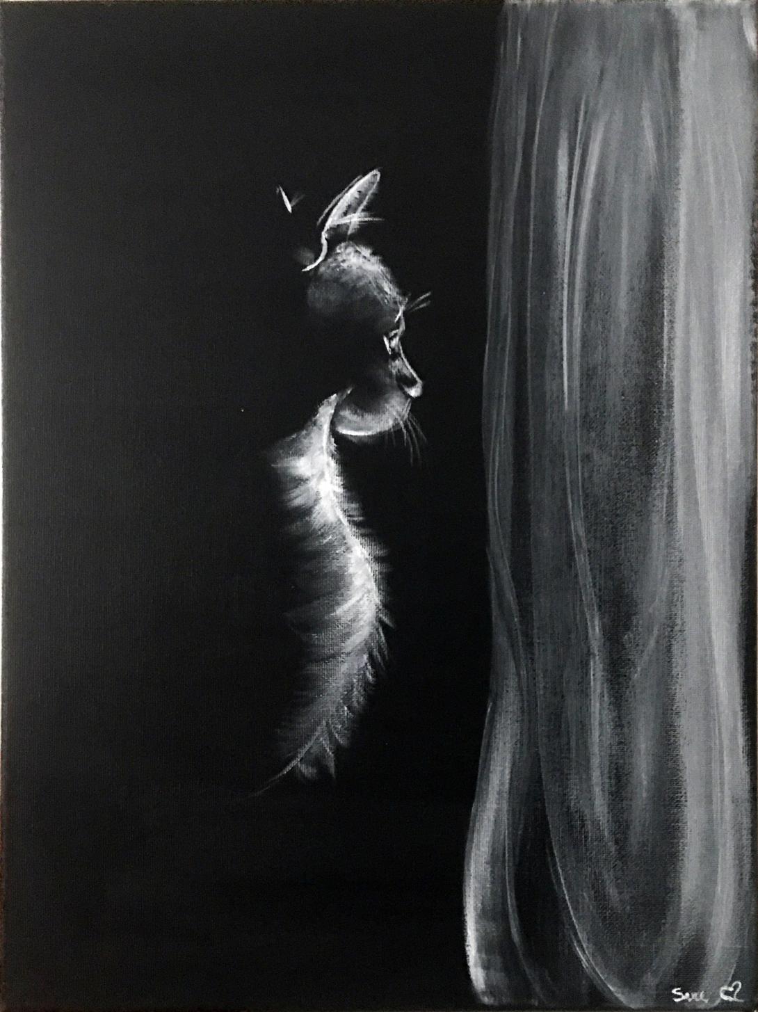 Gatto malinconico alla finestra