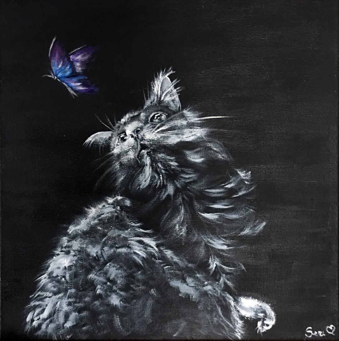 Il gatto distratto