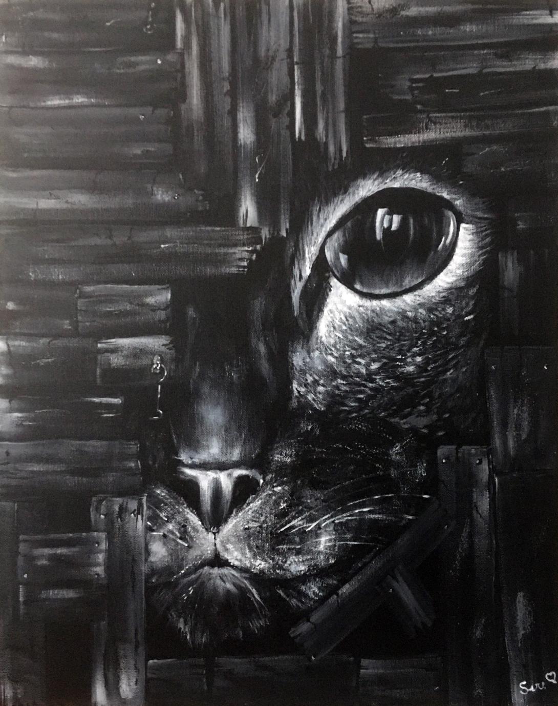 Il gatto nascosto