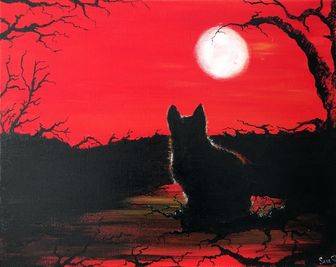 Romeo al tramonto