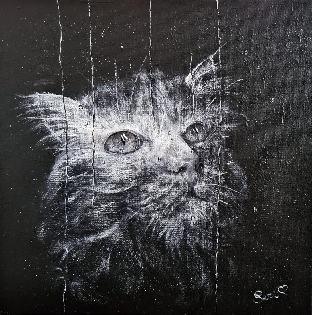 Il gatto triste